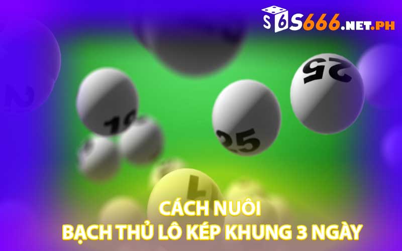 Cách Nuôi Bạch Thủ Lô Kép Khung 3 Ngày