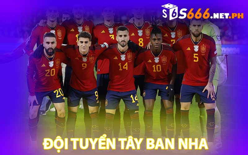 đội tuyển tây ban nha